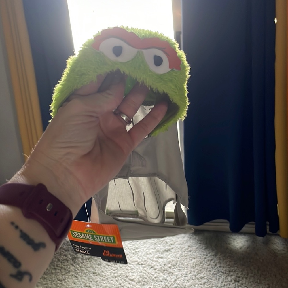 Oscar the grouch